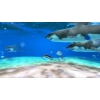 Live Aquarium HD 2