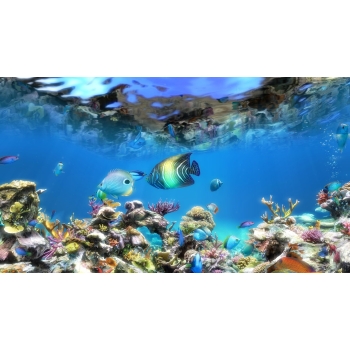 Live Aquarium HD 2