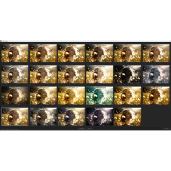 Program Color #8 Accelerated Vision