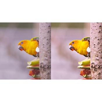 Program Color Video #1 Accelerated Vision