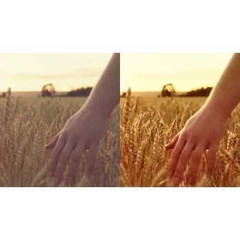 Program Color Video #1 Accelerated Vision