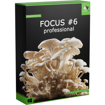 Program FOCUS #6 Professional Accelerated Vision