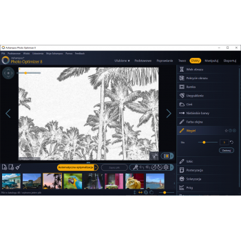 Program Photo Optimizer 8 Ashampoo