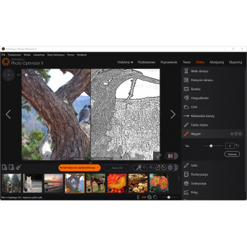 Program Photo Optimizer 9 Ashampoo