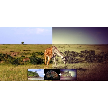Program AI Filter #1 Professional Ashampoo