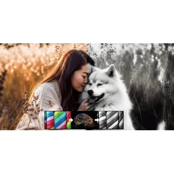 Program AI Filter #1 Professional Ashampoo