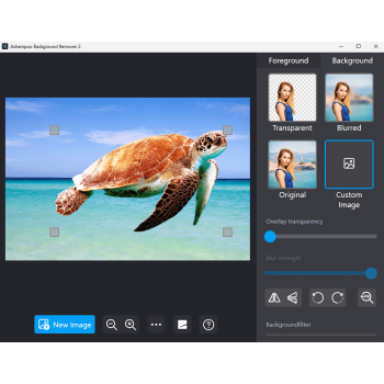 Program Background Remover 2 Ashampoo