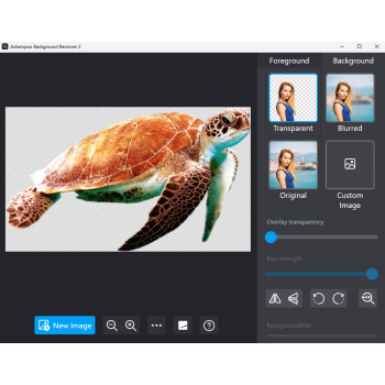 Program Background Remover 2 Ashampoo