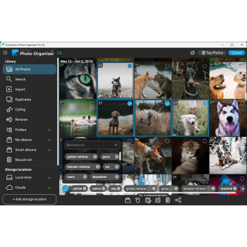 Program Photo Organizer Pro 26 Ashampoo