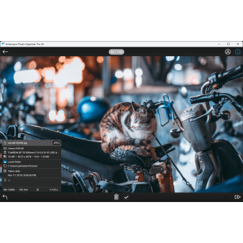 Program Photo Organizer Pro 26 Ashampoo