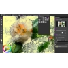Program Corel Painter Essentials 8⁠