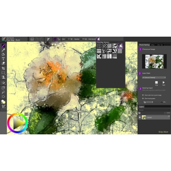 Program Corel Painter Essentials 8⁠