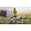 Program Corel Paint­Shop Pro 2023