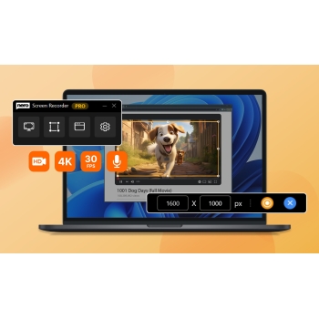 Program Screen Recorder Pro Nero